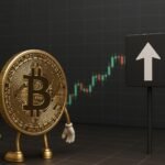 What is missing for bitcoin to rise in price again?