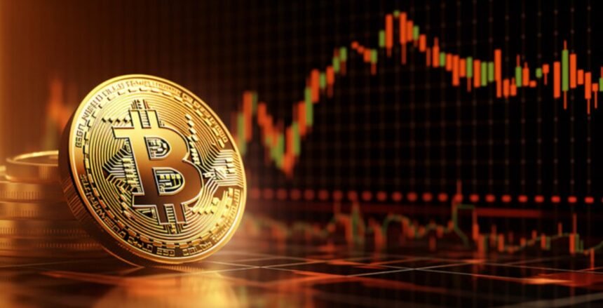 What are the next supports for bitcoin if it continues to fall?